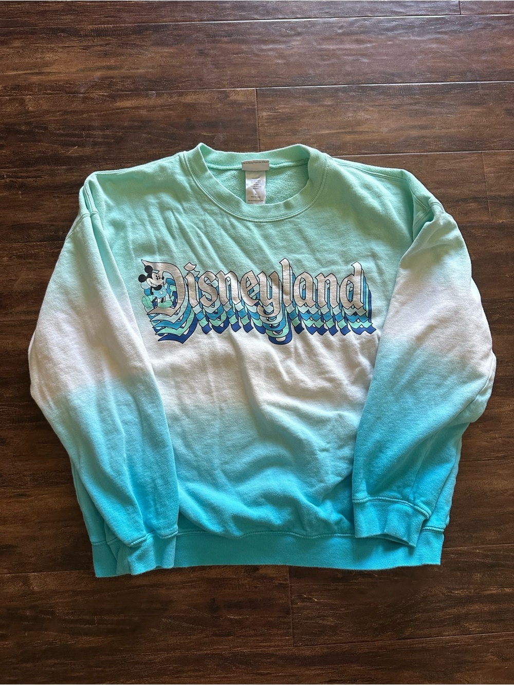 Disneyland Mint to Aqua Ombre Crewneck Sweatshirt